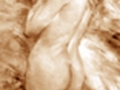 35_female nude.jpg